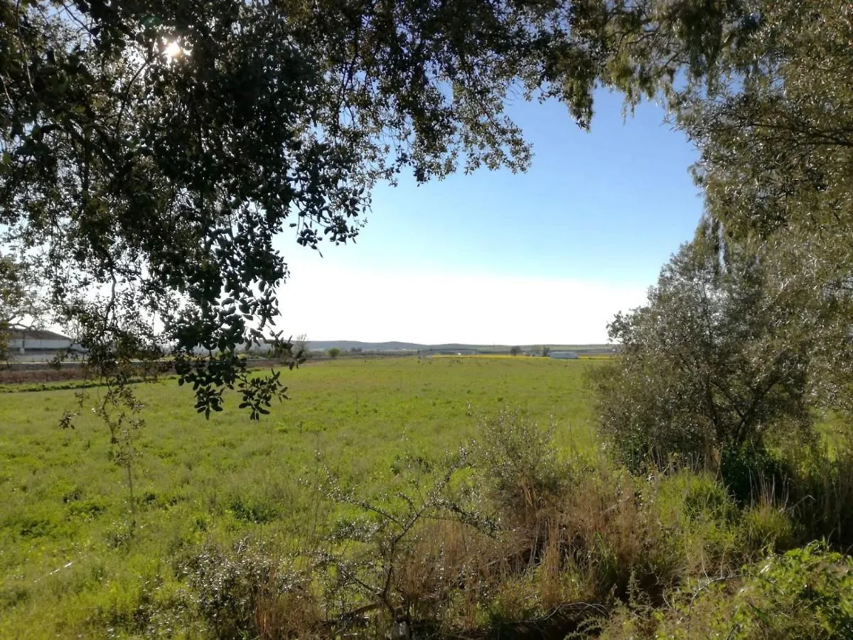 Las Maravillas De Manuel By Solymar Holiday Malaga 0*,